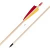 Buck Trail Standard Spruce Arrows -Archery equipment 842090 2