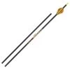 Cross-X Gladiator Arrows 2 Cross-X Gladiator Arrows -Archery equipment gladiator 2